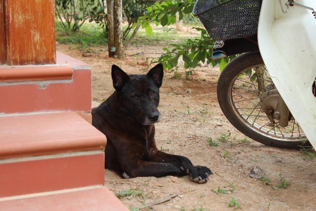 Spring Garden Homestay Phú Quý Zewnętrze zdjęcie