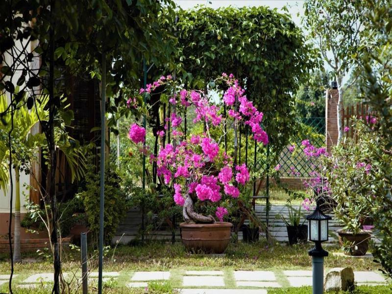 Spring Garden Homestay Phú Quý Zewnętrze zdjęcie