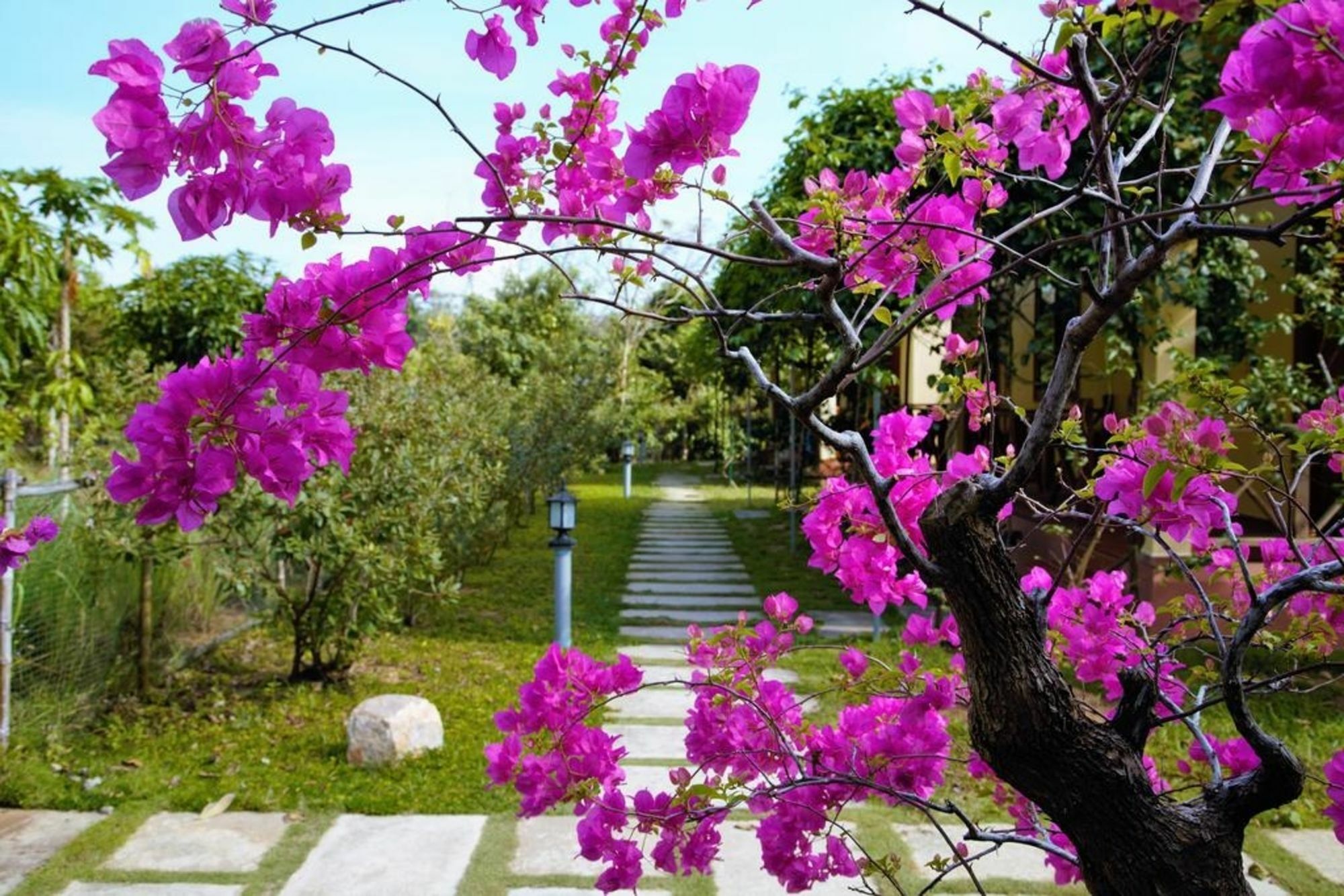 Spring Garden Homestay Phú Quý Zewnętrze zdjęcie