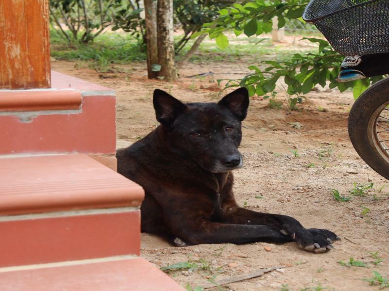 Spring Garden Homestay Phú Quý Zewnętrze zdjęcie